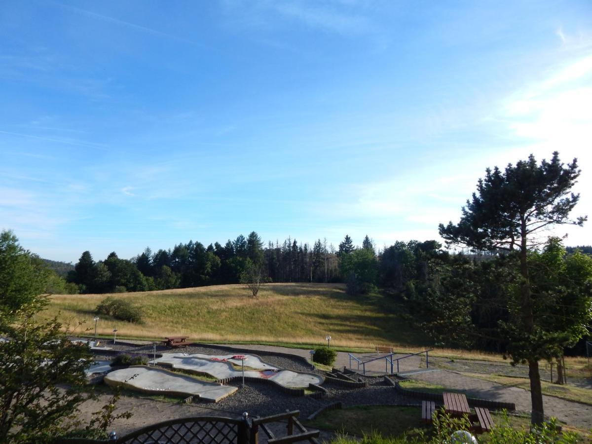 Ferienwohnung "Rodelnde Geiss" Mit Schwimmbad Braunlage Extérieur photo