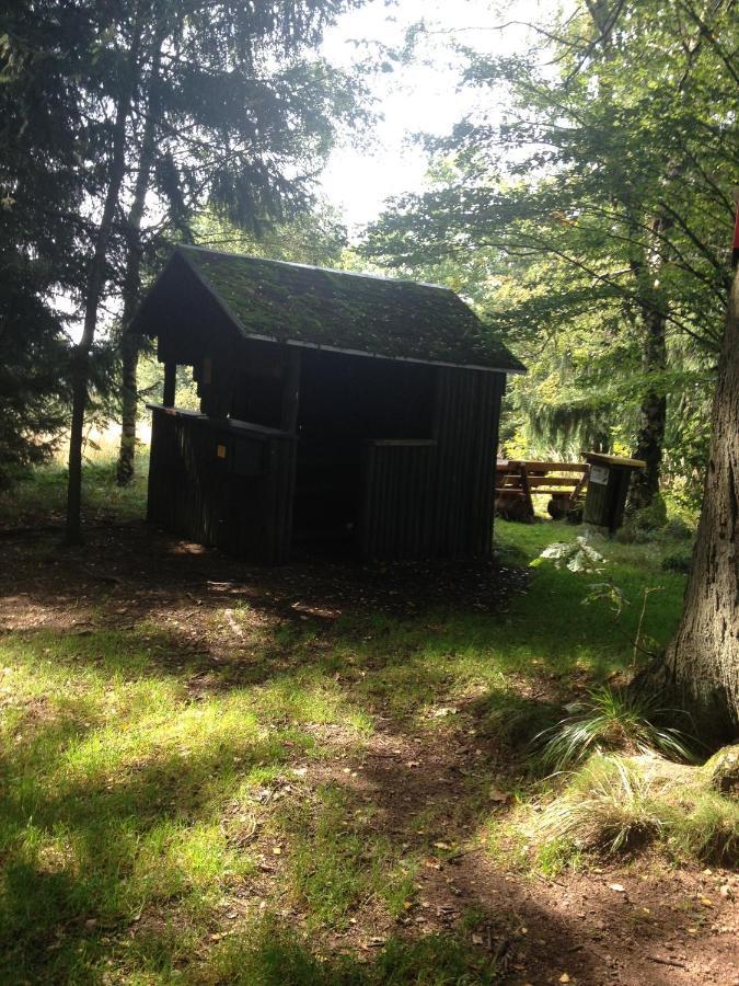Ferienwohnung "Rodelnde Geiss" Mit Schwimmbad Braunlage Extérieur photo