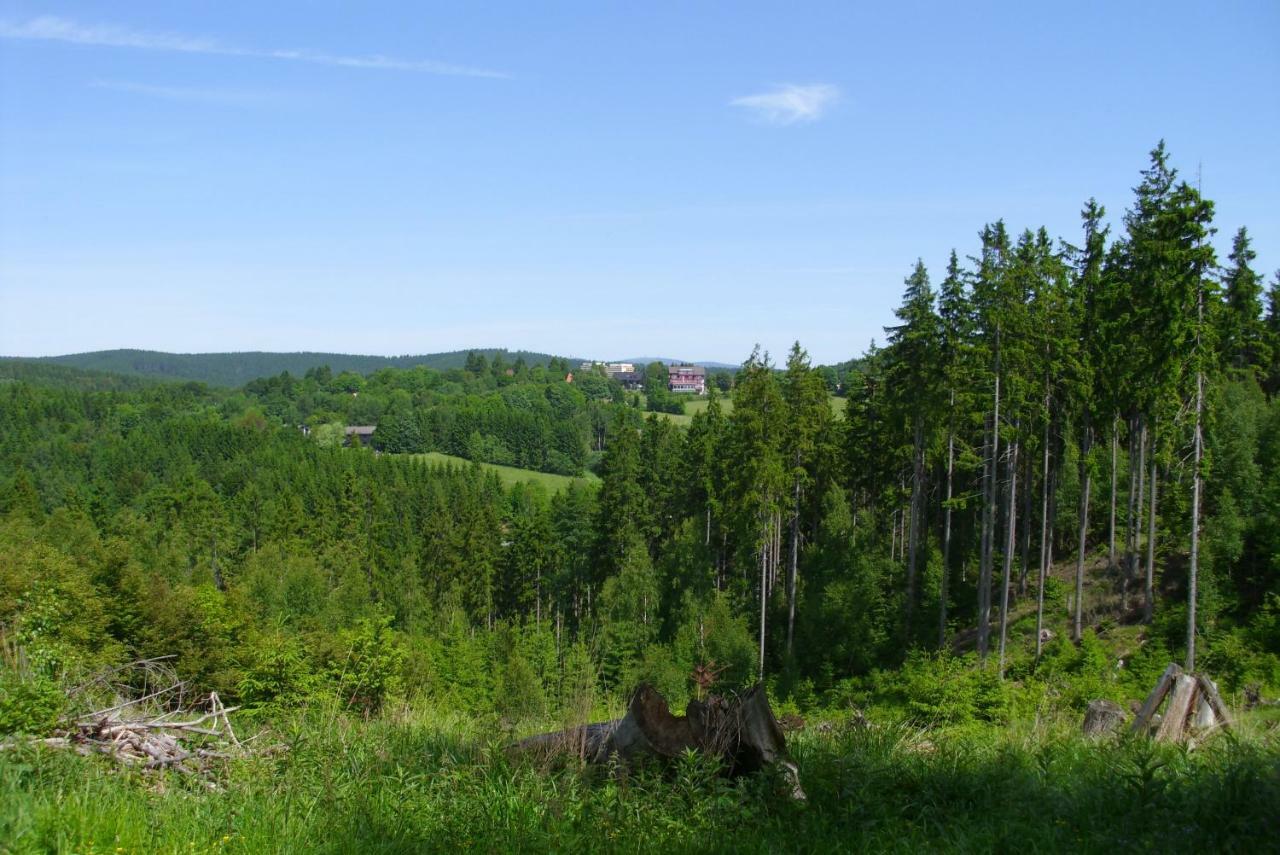 Ferienwohnung "Rodelnde Geiss" Mit Schwimmbad Braunlage Extérieur photo